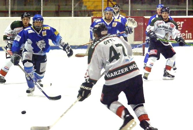 Die Wölfe in "Aktion" (Foto: Koch) Die Wölfe in "Aktion" (Foto: Koch)