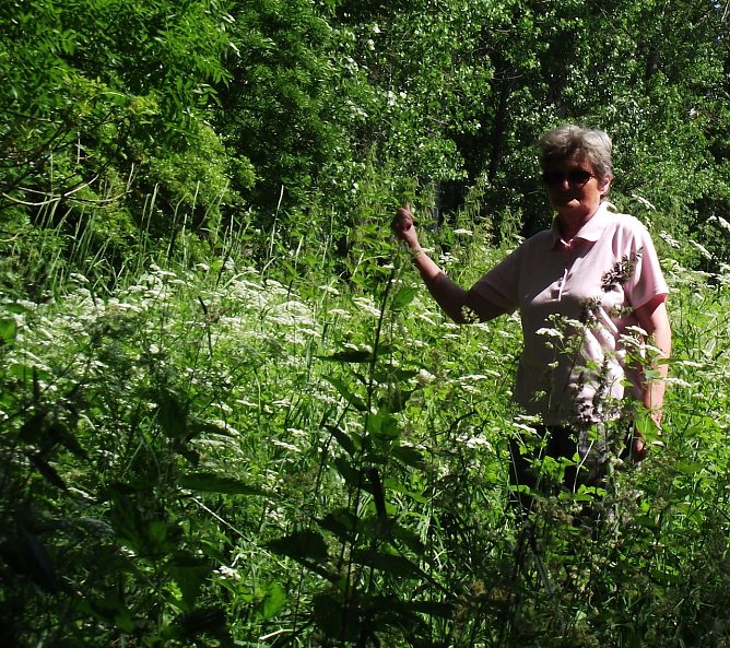 Wanderwege unterm Pflug (Foto: Kurt Frank) Wanderwege unterm Pflug (Foto: Kurt Frank)