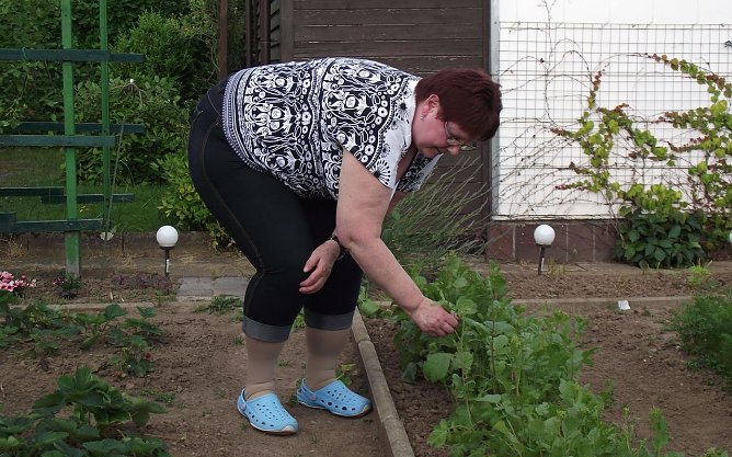 Der Kleingarten als Paradies (Foto: Kurt Frank)