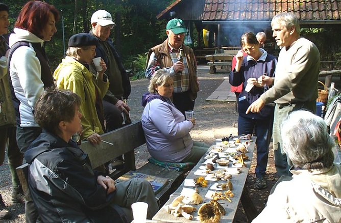 In den Pilzen (Foto: Urban)