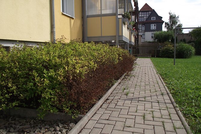 Mieter machen mit (Foto: K. Frank)