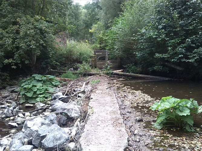 Exkursion entlang der Zorge (Foto: AHA)