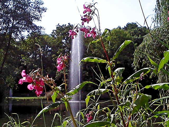 Font&auml;ne im Stadtpark (Foto: S. Kaufhold)