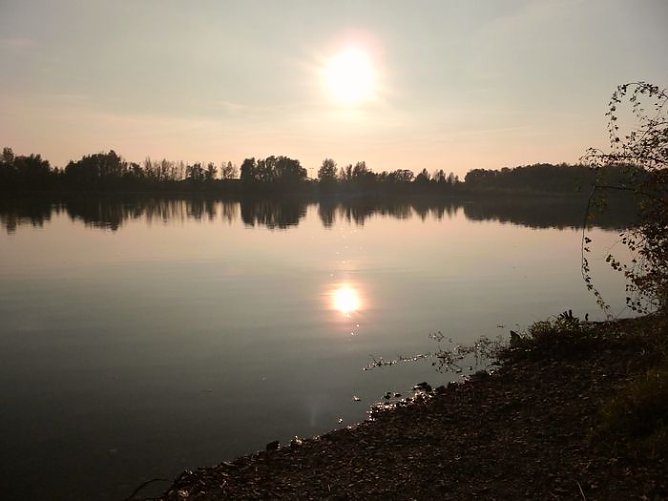 Leserfoto (Foto: Kraut)