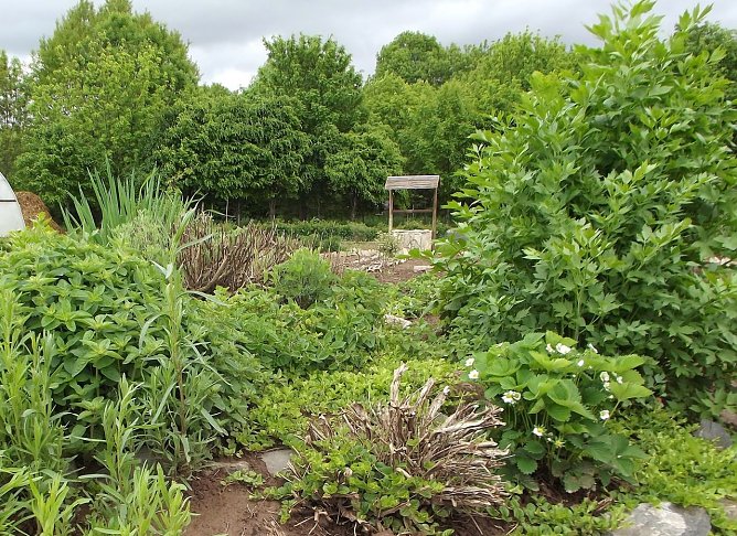 Öko-Garten (Foto: Horizont e.V.) Öko-Garten (Foto: Horizont e.V.)