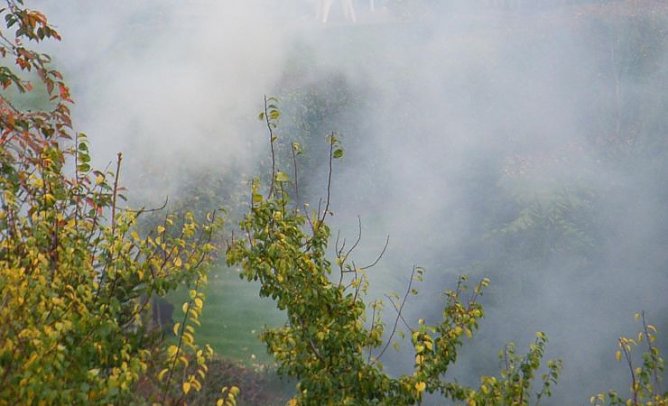 Nebel des Hustens (Foto: nnz)