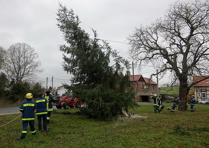 Zum zweiten Mal (Foto: privat)
