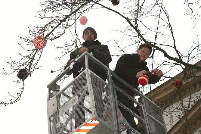 Wollreich eingekleidet (Foto: I. Bergmann|Stadtverwaltung Nordhausen)