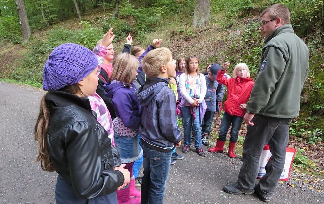 Den Wald erkundet (Foto: privat)