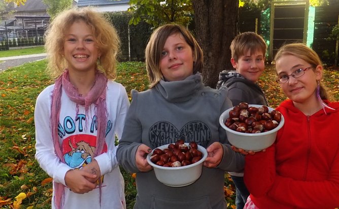 Am nächsten Morgen (Foto: privat) Am nächsten Morgen (Foto: privat)