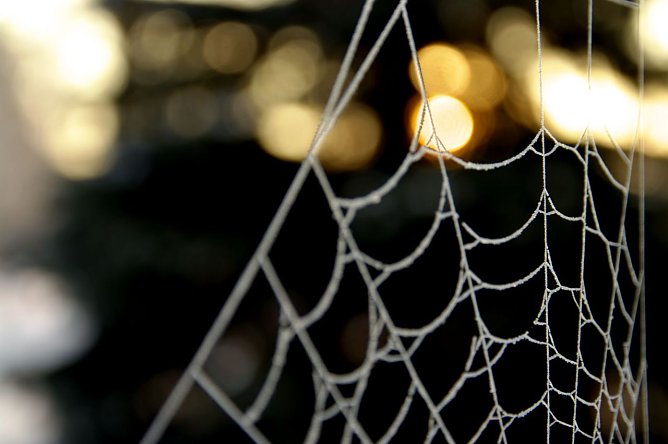 Wetter-Bild (Foto: Gernot Thelemann)