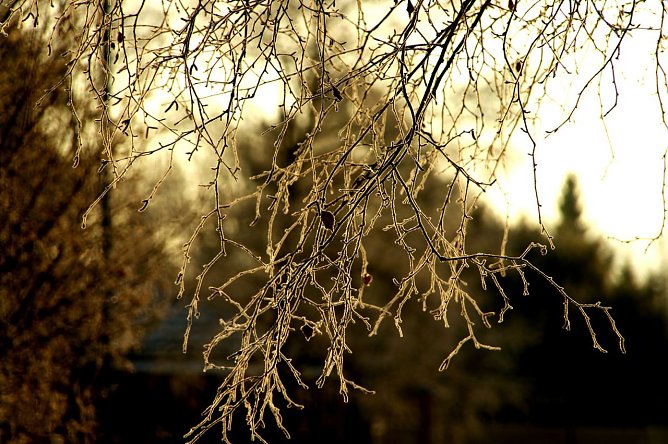 Wetter-Bild (Foto: Gernot Thelemann)