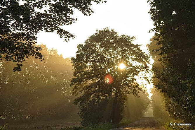 Wetter-Bild (Foto: Gernot Thelemann) Wetter-Bild (Foto: Gernot Thelemann)