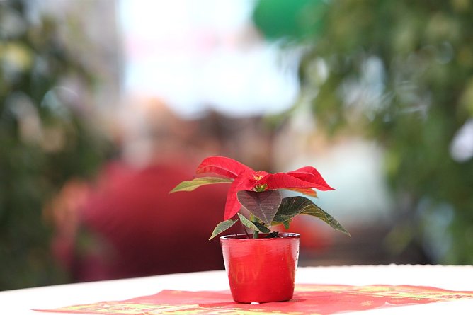 Weihnachtsm&auml;rchen in der Skoda-Autowelt (Foto: nnz)