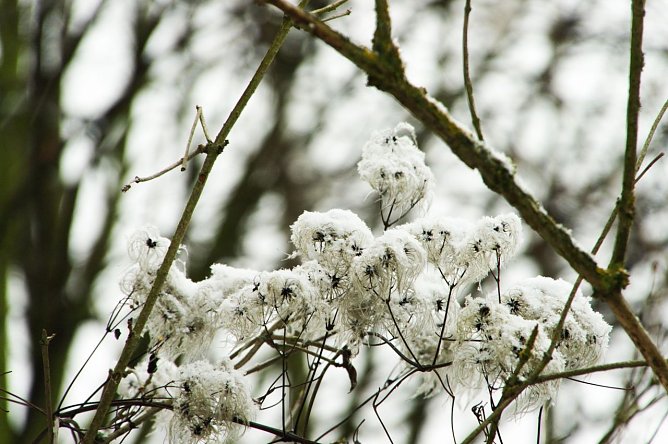 Wetter-Bild (Foto: Gernot Thelemann)