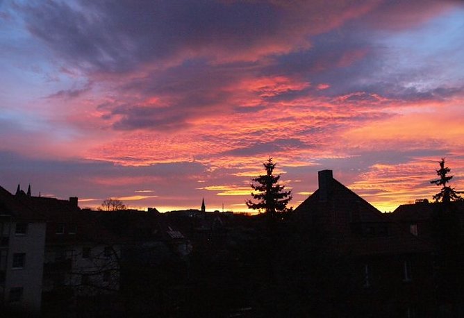 Morgenrot (Foto: Angsmeier)