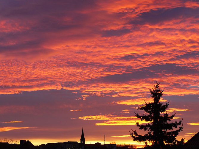 Morgenrot (Foto: Angsmeier)