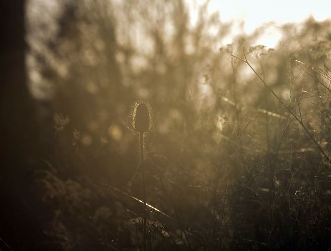 Wetter-Bild (Foto: Gernot Thelemann) Wetter-Bild (Foto: Gernot Thelemann)