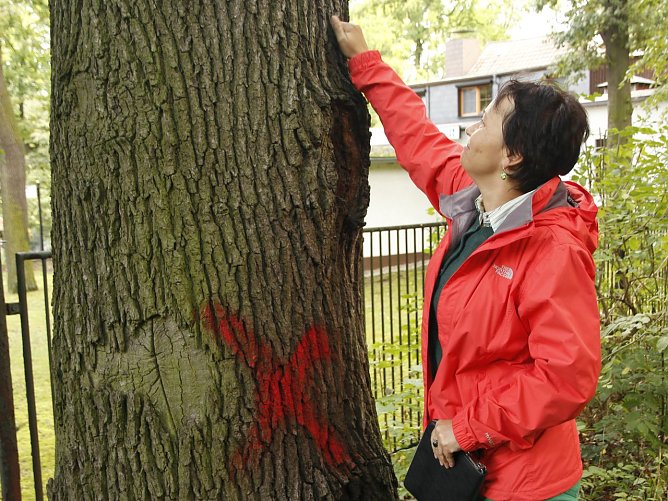 Ulrike Taeger-Schmidt bei der Baumkontrolle w&auml;hrend eines Rundgangs im Nordh&auml;user Gehege am 18.09.2013. (Foto: BUND)