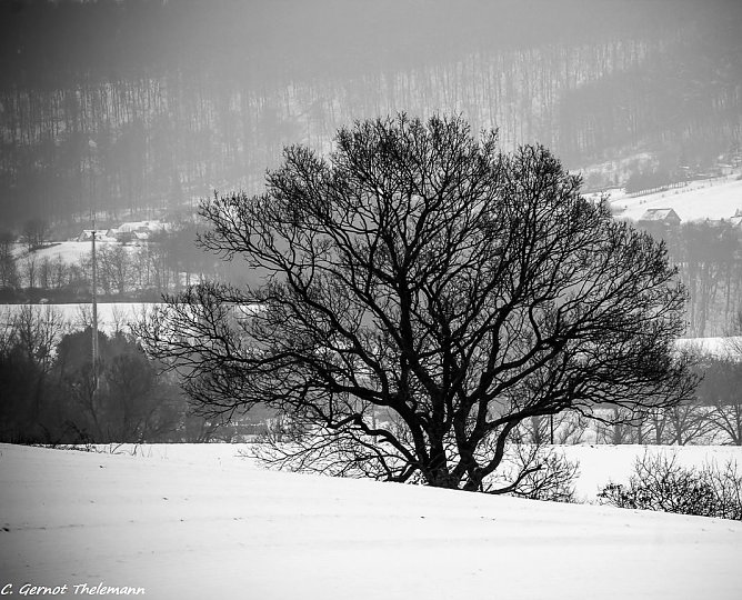 Wetter-Bild (Foto: Gernot Thelemann)