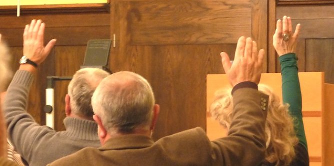 H&auml;nde hoch zur Abstimmung (Foto: nnz)