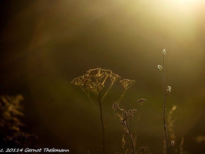 Wetter-Bild (Foto: Gernot Thelemann) Wetter-Bild (Foto: Gernot Thelemann)