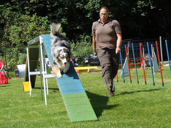 Toller Hundesport in Herreden (Foto: privat) Toller Hundesport in Herreden (Foto: privat)