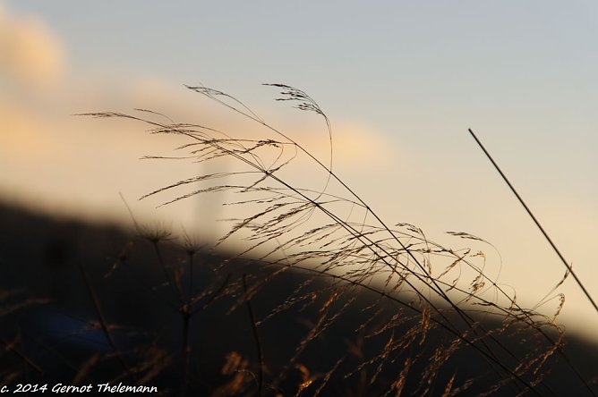 Wetter-Bild (Foto: Gernot Thelemann)