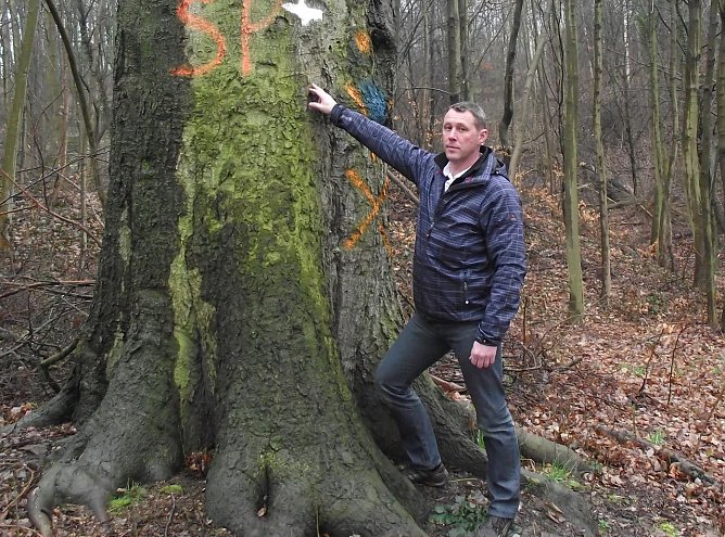 Axel Axt (Foto: Kurt Frank)