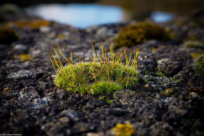 Wetter-Bild (Foto: Gernot Thelemann) Wetter-Bild (Foto: Gernot Thelemann)