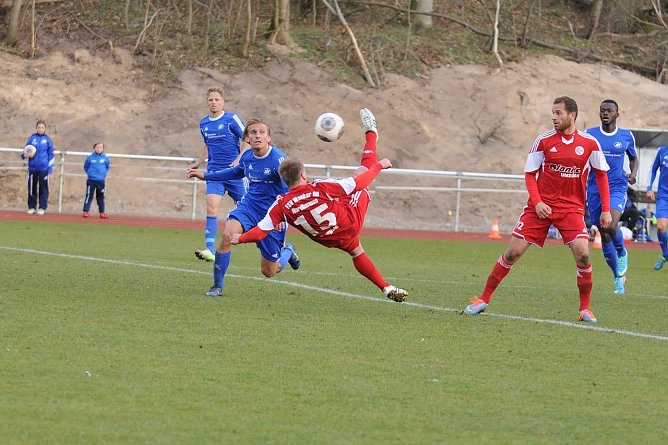 Hauswald mit Fallrückzieher (Foto: Lars Koch) Hauswald mit Fallrückzieher (Foto: Lars Koch)
