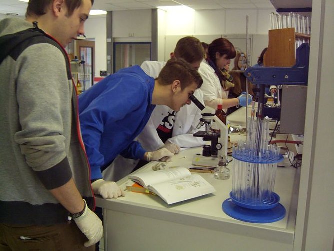 Tag der offenen T&uuml;r (Foto: Paracelsus Schule)