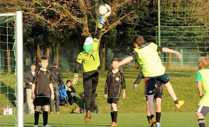 Gro&szlig;es Programm auf kleinem Feld (Foto: M. Liedke)