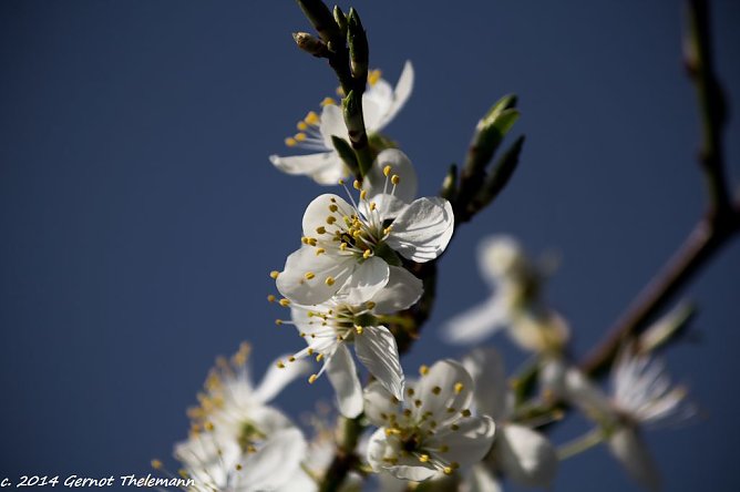 Wetter-Bild (Foto: Gernot Thelemann) Wetter-Bild (Foto: Gernot Thelemann)