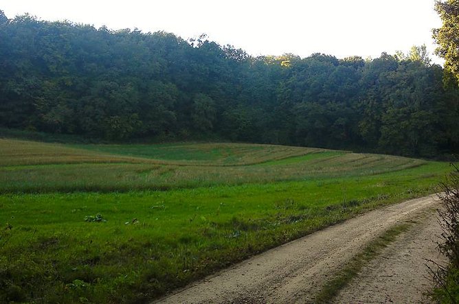Hier soll der Klimawald entstehen (Foto: Forstamt Bleicherode S&uuml;dharz)