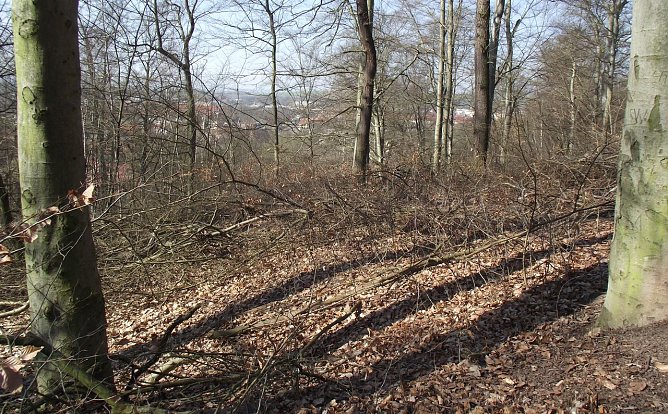 Es gibt viel zu tun (Foto: Kurt Frank)