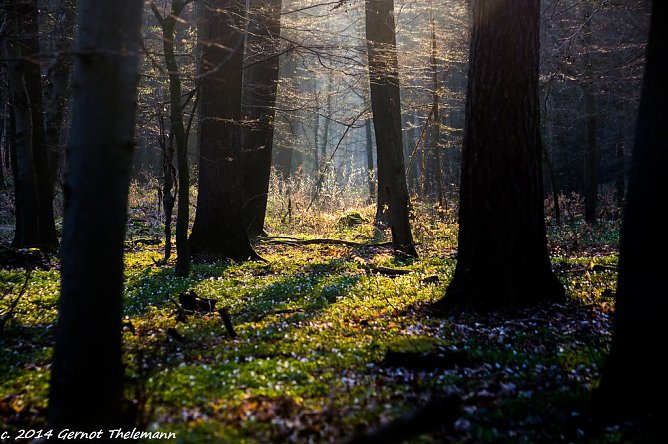 Wetter-Bild (Foto: Gernot Thelemann)