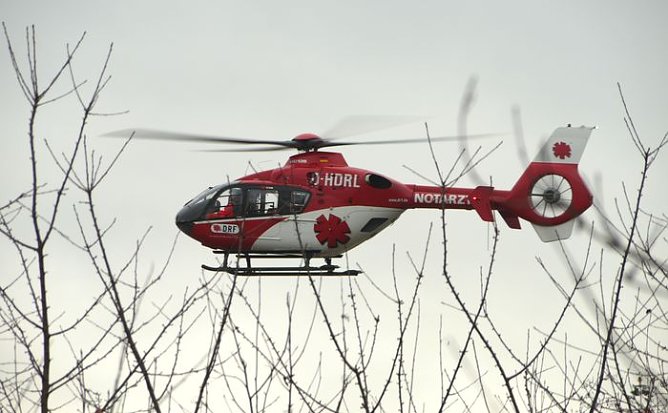 B&auml;ume m&uuml;ssen weg (Foto: nnz)