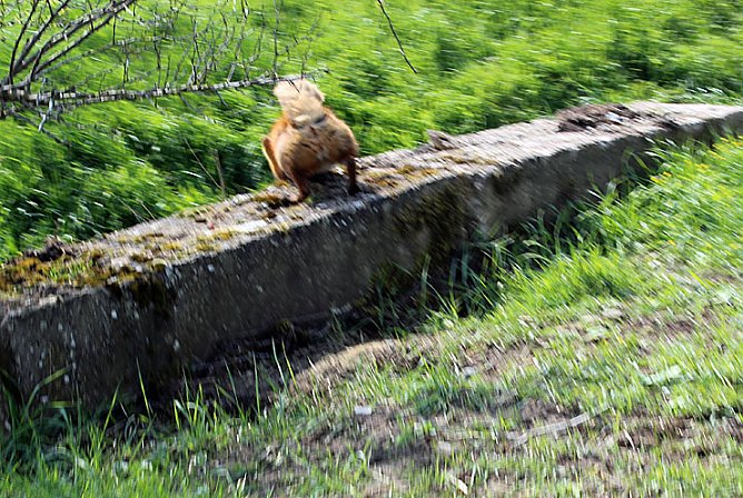 Sieg nach Punkten f&uuml;r kn (Foto: Karl-Heinz Herrmann)
