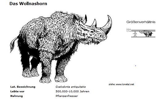 Grafik (Foto: Sammlung Schäfer) Grafik (Foto: Sammlung Schäfer)