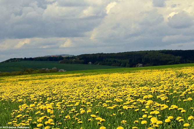 Wetter-Bild (Foto: Gernot Thelemann)