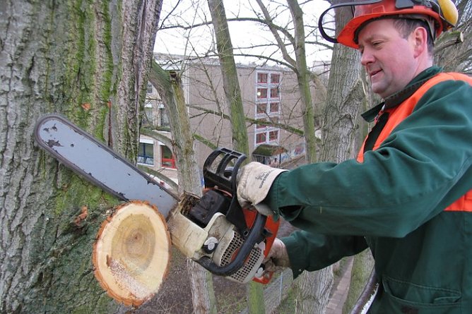 Und weg... (Foto: psv)