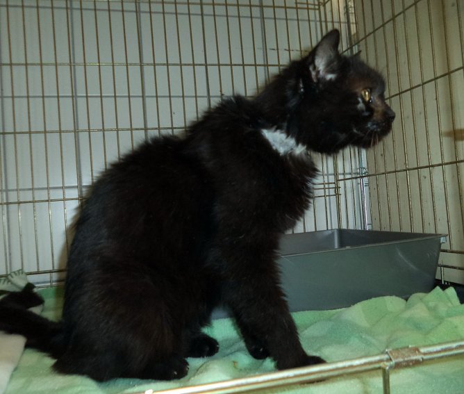 Findelkind (Foto: C. Knust)