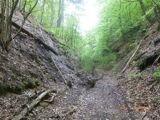 Stempedaer Marktweg (Foto: Bodo Schwarzberg) Stempedaer Marktweg (Foto: Bodo Schwarzberg)