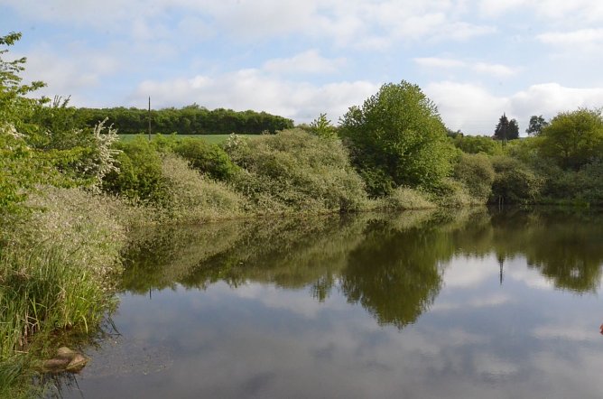 Fr&uuml;hjahrsputz am R&ouml;dersee (Foto: Helmut Michel)