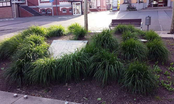 Verdreckt (Foto: F. Meier)