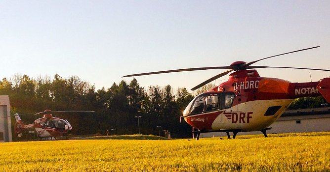 Zweimal (Foto: N. Jahn)