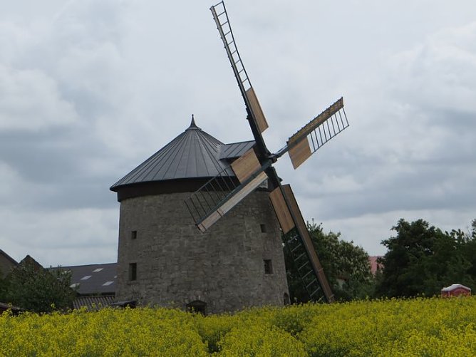 Deutscher M&uuml;hlentag 2014 (Foto: Hannelore Kutscha)