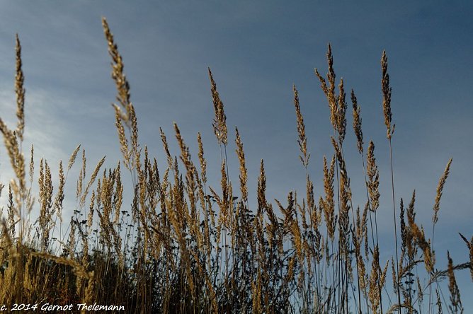 Wetterbild (Foto: Gernot Thelemann)