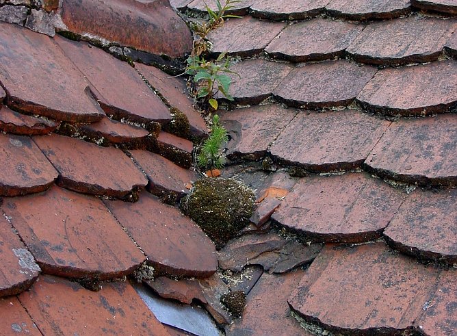 Schlechter Zustand (Foto: HF Redaktion)